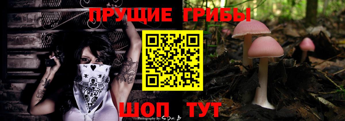 Галлюциногенные грибы MAGIC MUSHROOMS  Вход с VPN  Кандалакша 