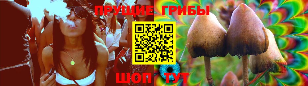 Галлюциногенные грибы GOLDEN TEACHER Кандалакша
